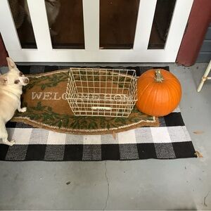 White Wire Basket - Home Accent